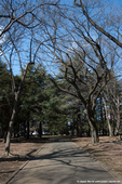 Un Parc dans la ville